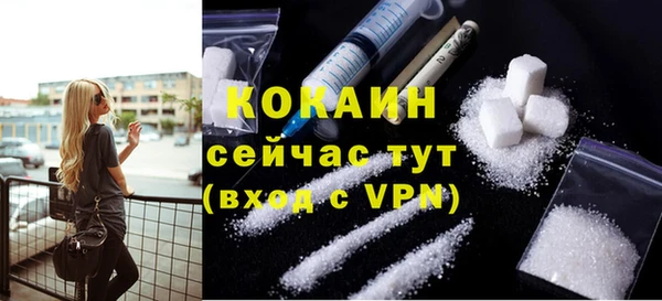 ГАЛЛЮЦИНОГЕННЫЕ ГРИБЫ Абаза