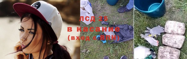 ГАЛЛЮЦИНОГЕННЫЕ ГРИБЫ Абаза