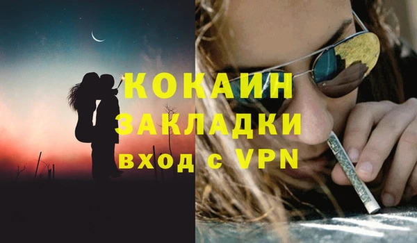 индика Алексеевка